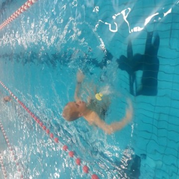20181124 104258 - Sportraad Zaventem 